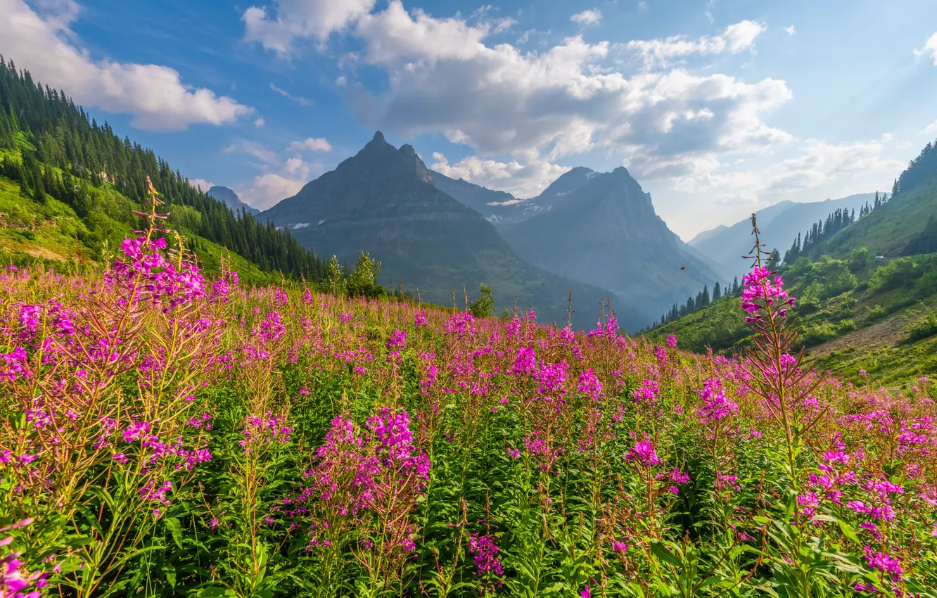 Фото обои облака, пейзаж, горы, природа, США, Glacier National Park