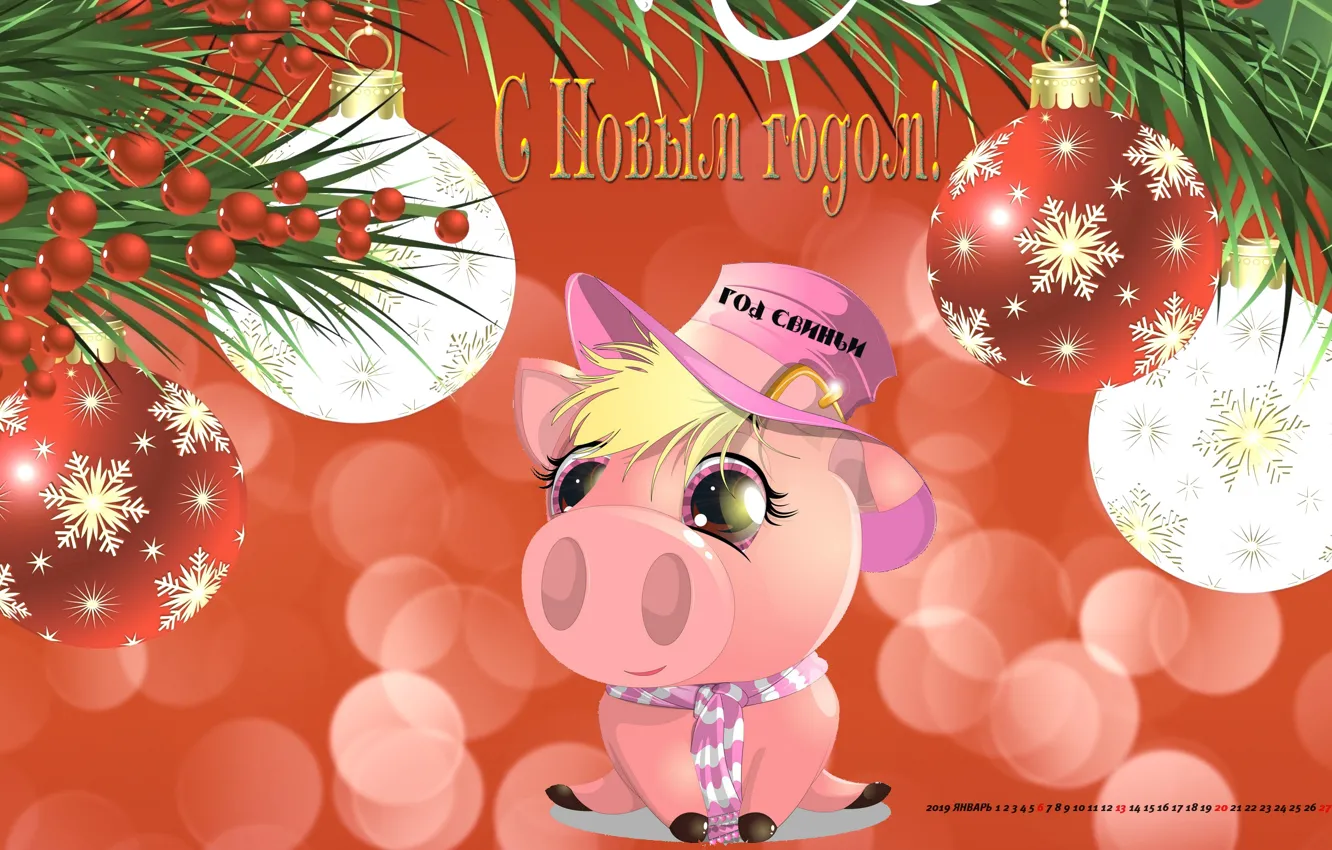 Фото обои шляпа, свинья, поросенок, календарь на 2019 год
