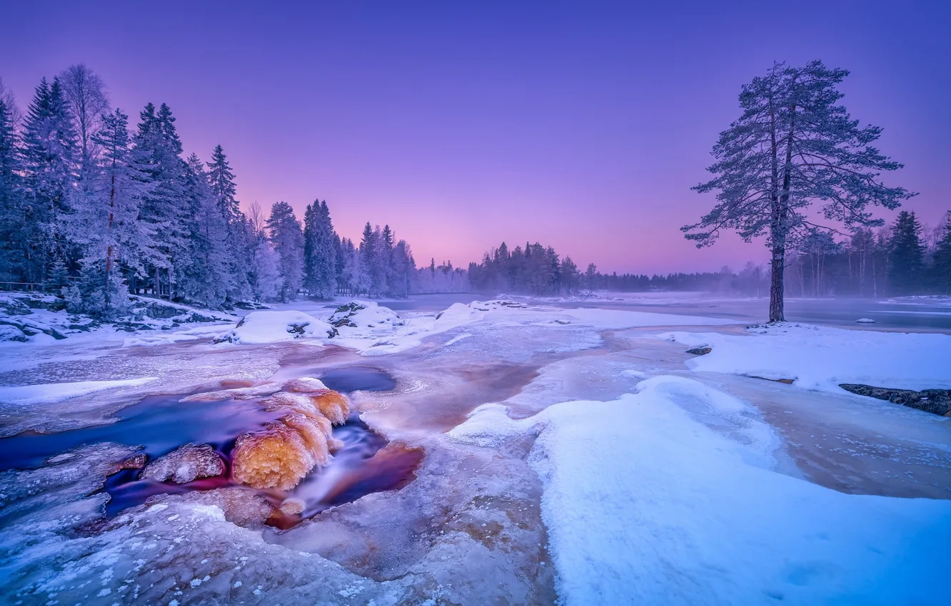 Фото обои зима, снег, деревья, река, Финляндия, Finland, Kiiminkijoki River, река Кииминкийоки