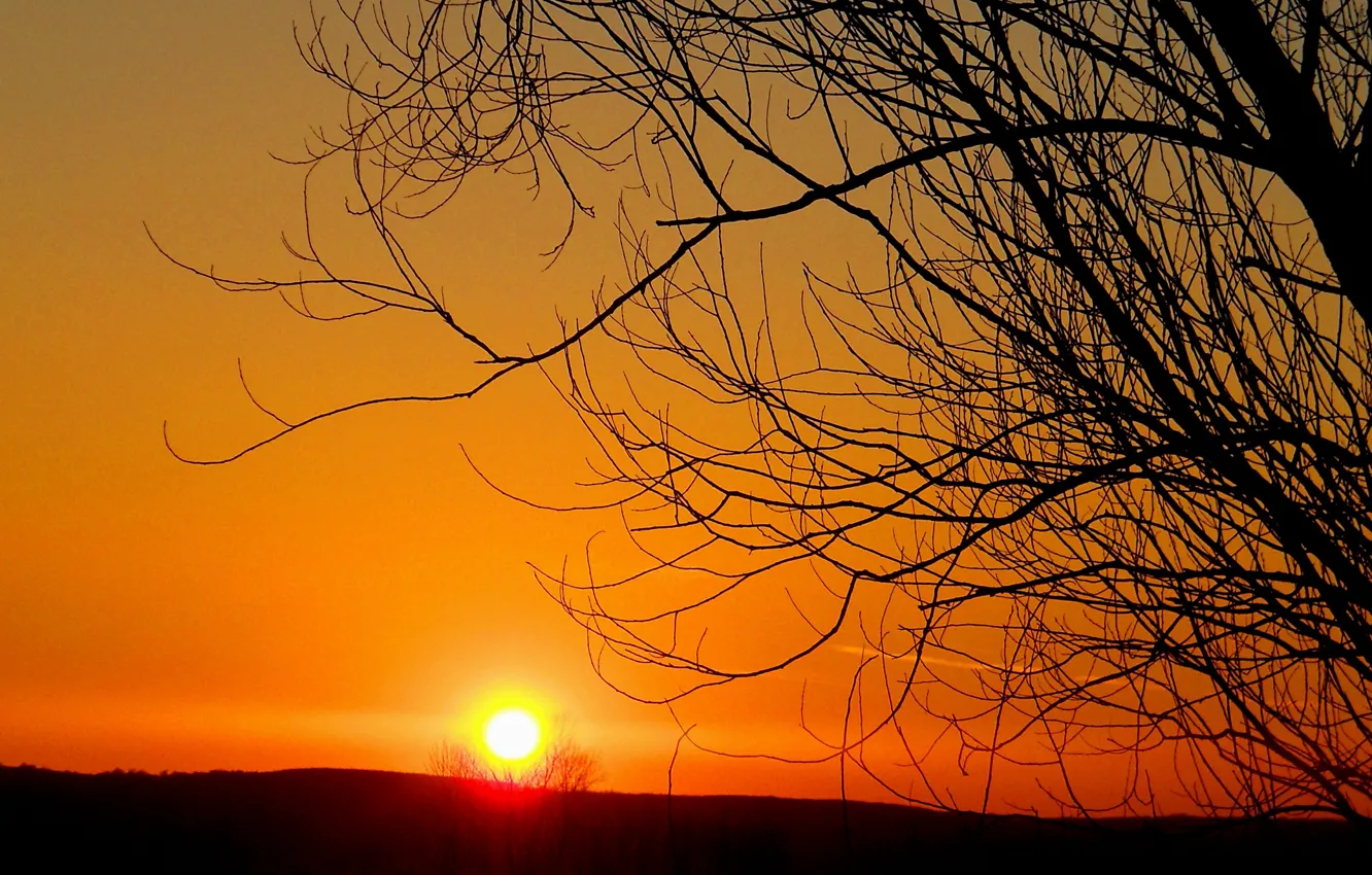 Фото обои закат, природа, Nature, sunset