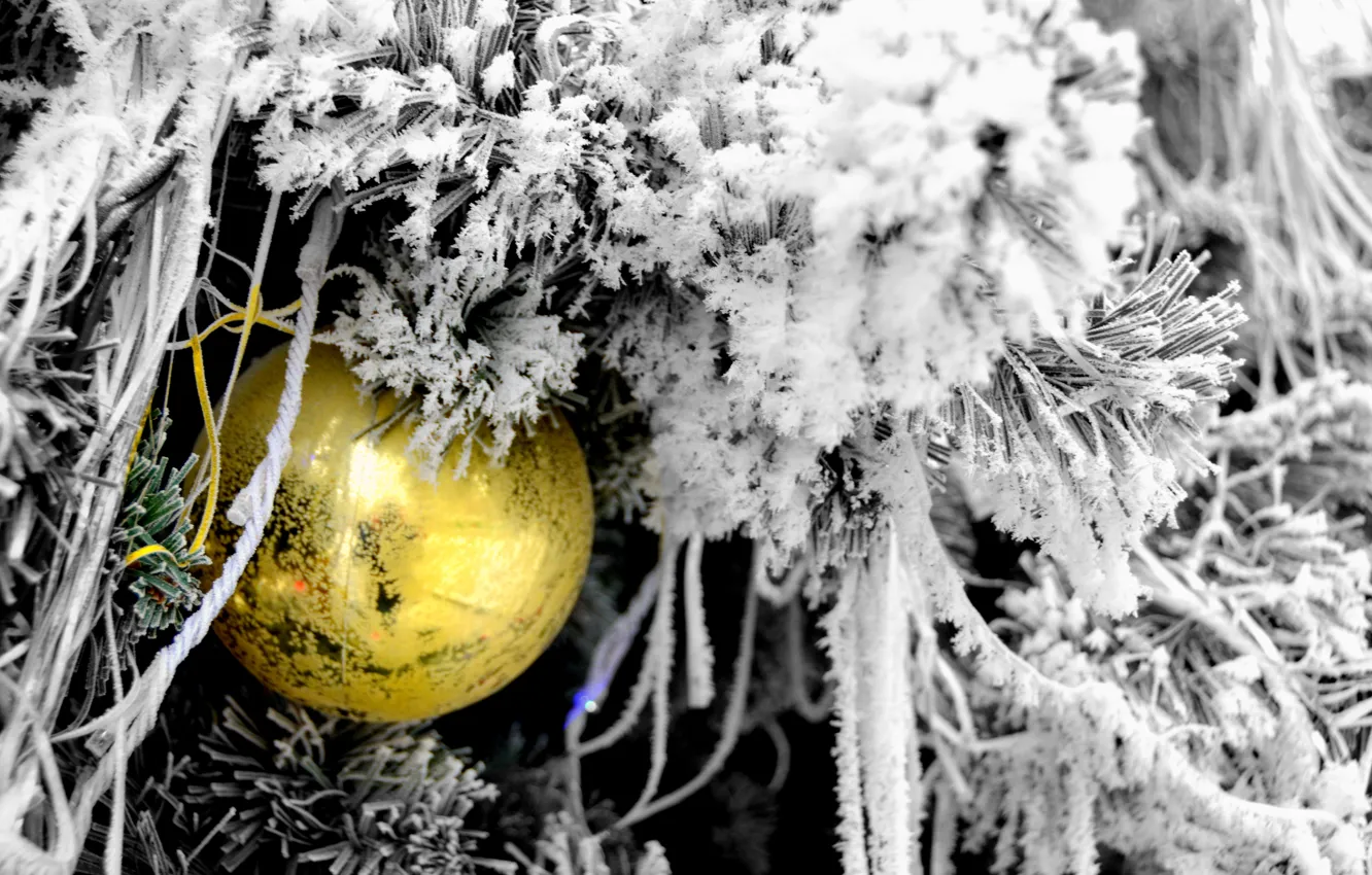 Фото обои снег, новый год, Ёлка, новогодние игрушки, Новогодний шар