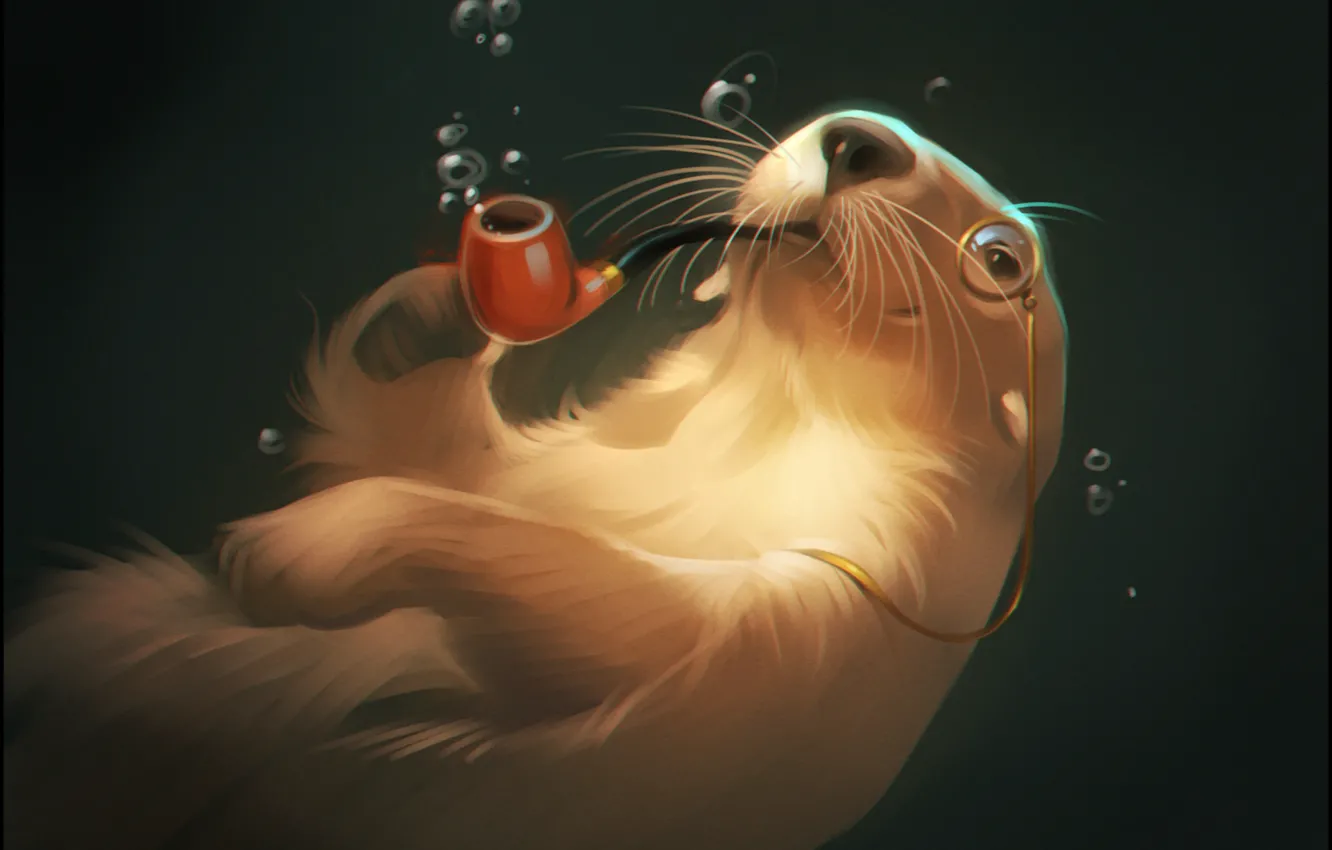 Фото обои вода, пузырьки, трубка, art, монокль, otter, выдра