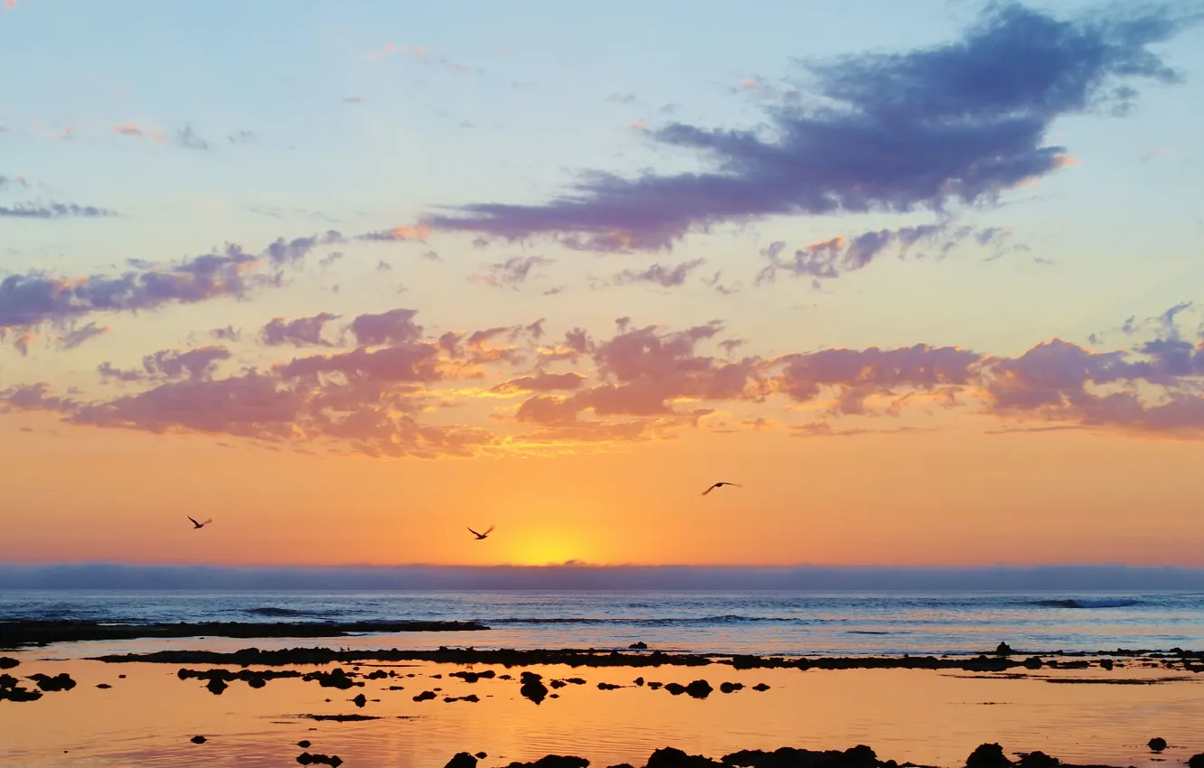 Фото обои море, облака, птицы, отражение, восход, камни, чайка, бассейн