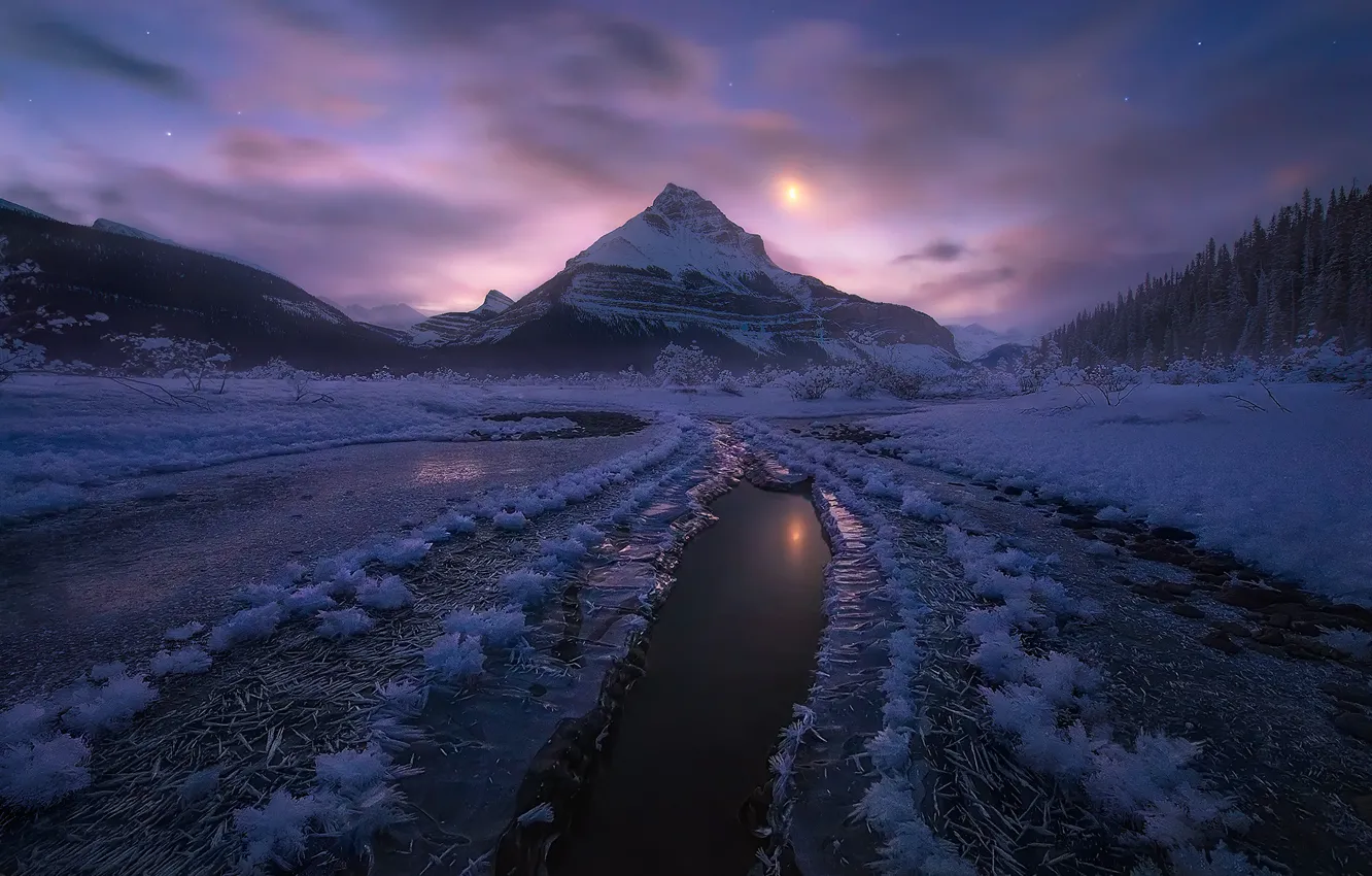 Фото обои зима, снег, горы, ночь, Канада, Альберта, лунный свет, Национальный парк Джаспер