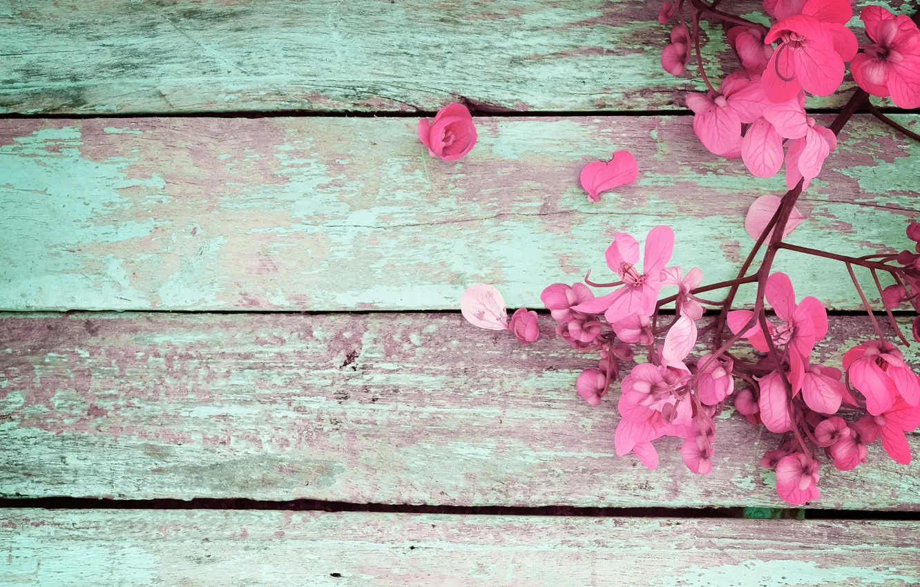 Фото обои цветы, весна, розовые, vintage, wood, pink, flowers, spring