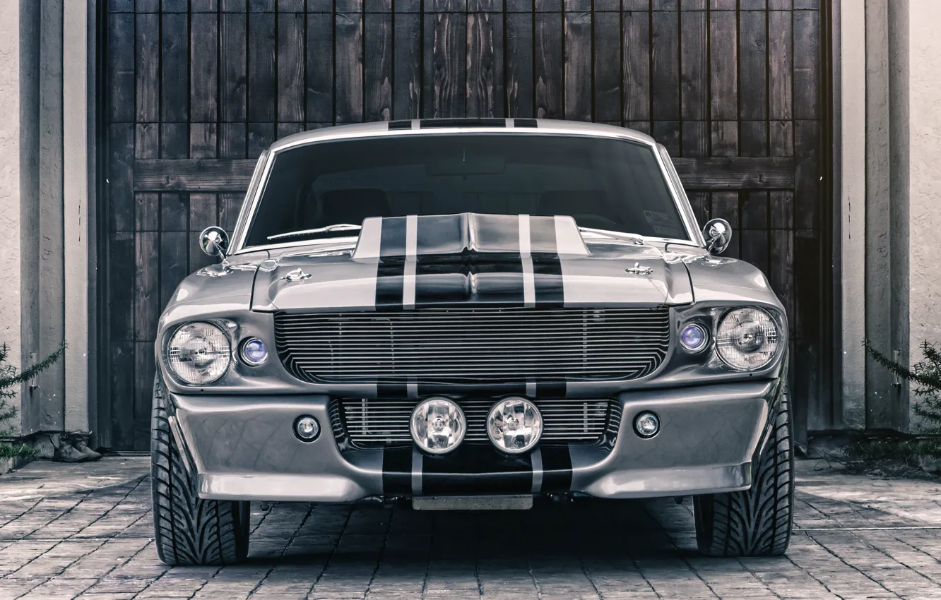 Фото обои Mustang, Ford, Shelby, GT500, Eleanor, Muscle car, Silver