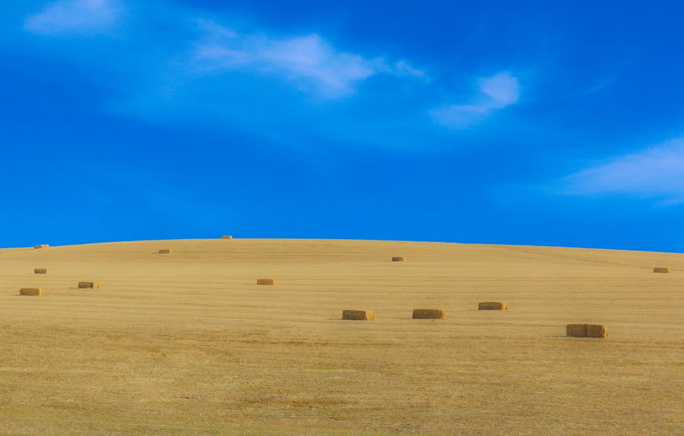 Фото обои sky, hay, harvest, farmland