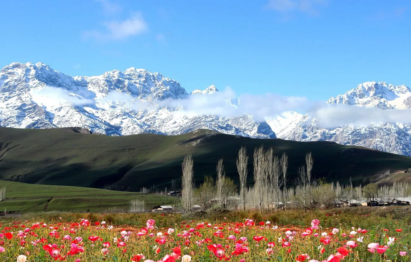 Фото обои Горы, Киргизия, Хайдаркан
