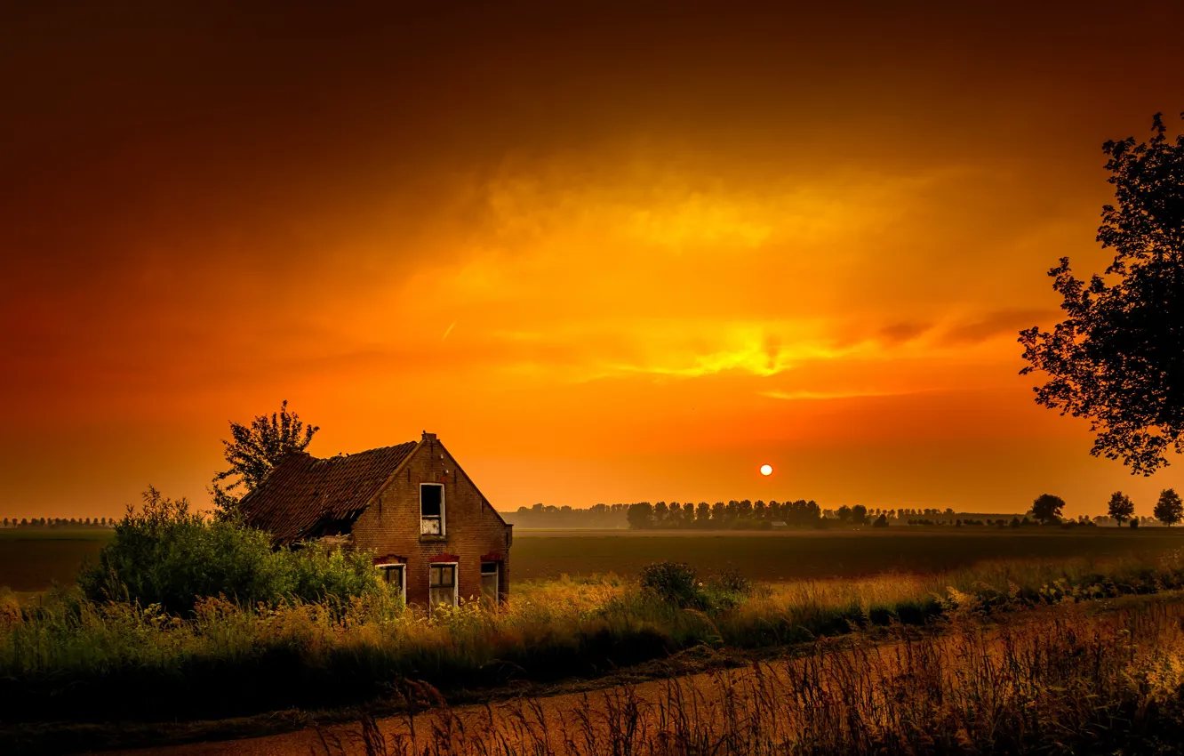 Фото обои поле, ночь, природа, дом