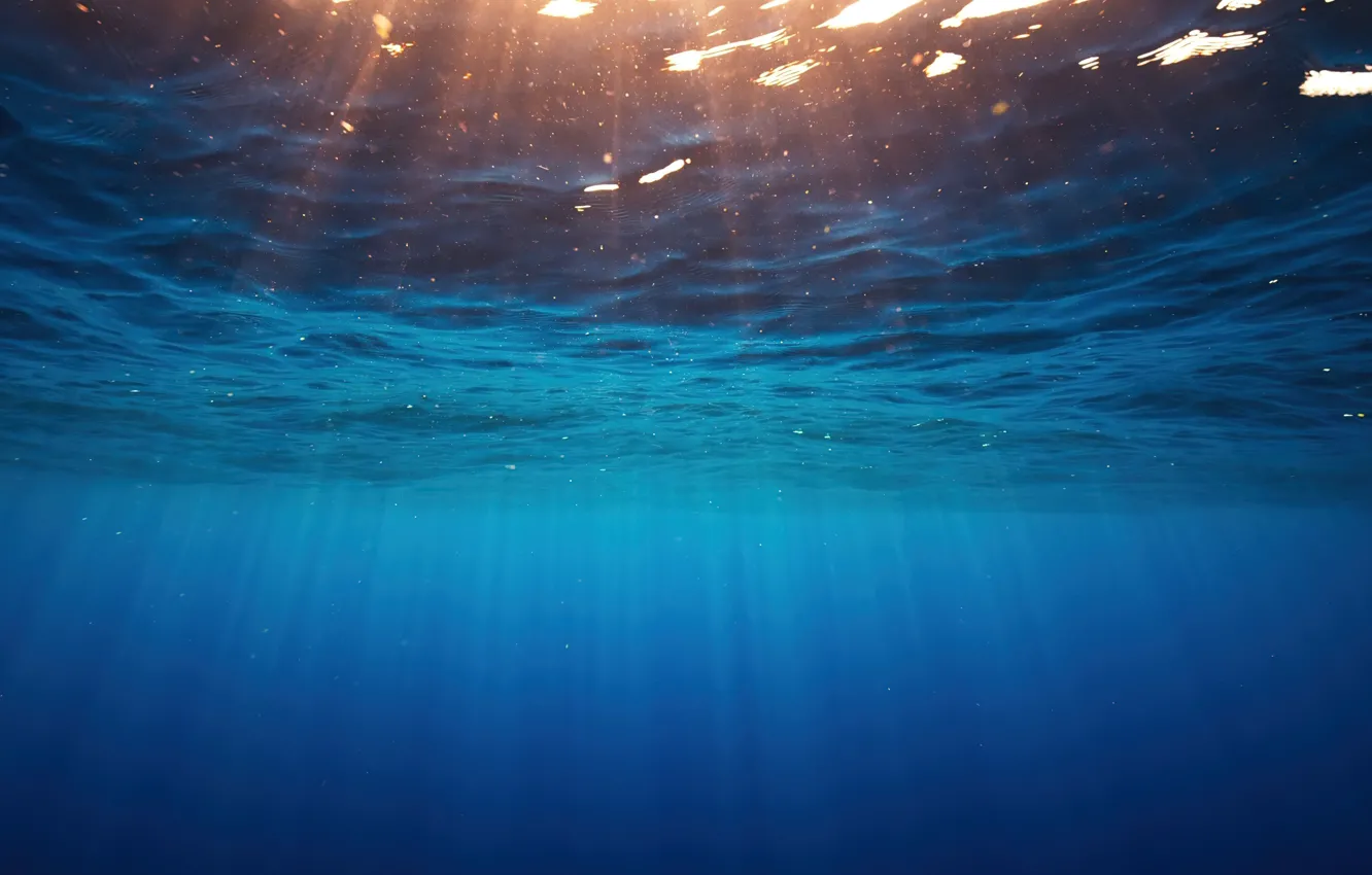 Фото обои лучи, свет, блики, синева, океан, глубина, underwater, подводой