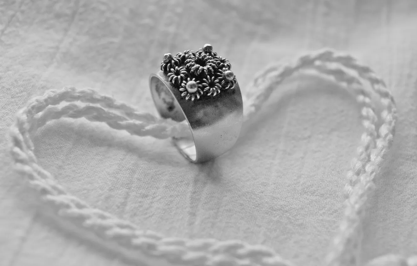 Фото обои веревка, кольцо, черно-белое