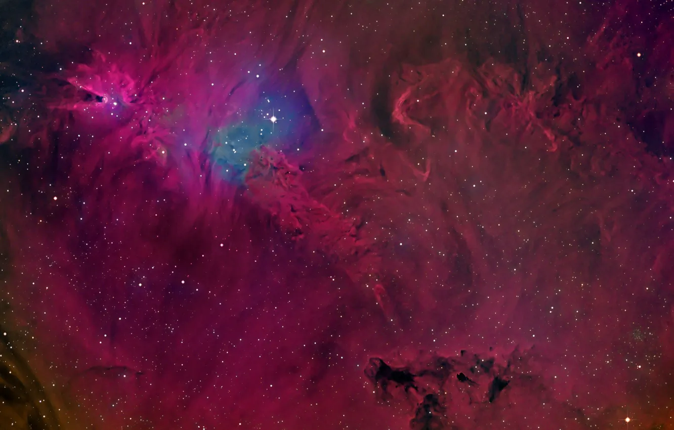 Фото обои космос, звезды, Cone Nebula