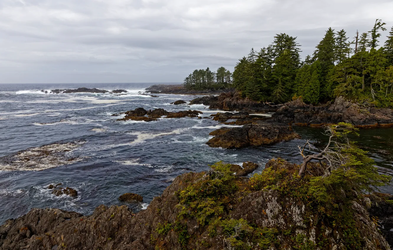 Фото обои океан, скалы, побережье, Канада, British Columbia, Ucluelet