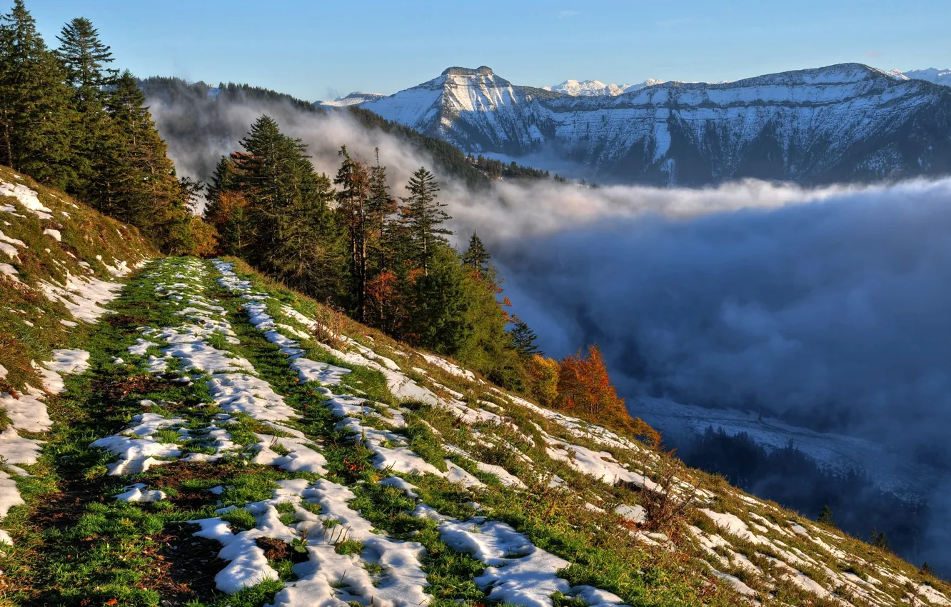 Фото обои небо, снег, деревья, горы, туман, склон