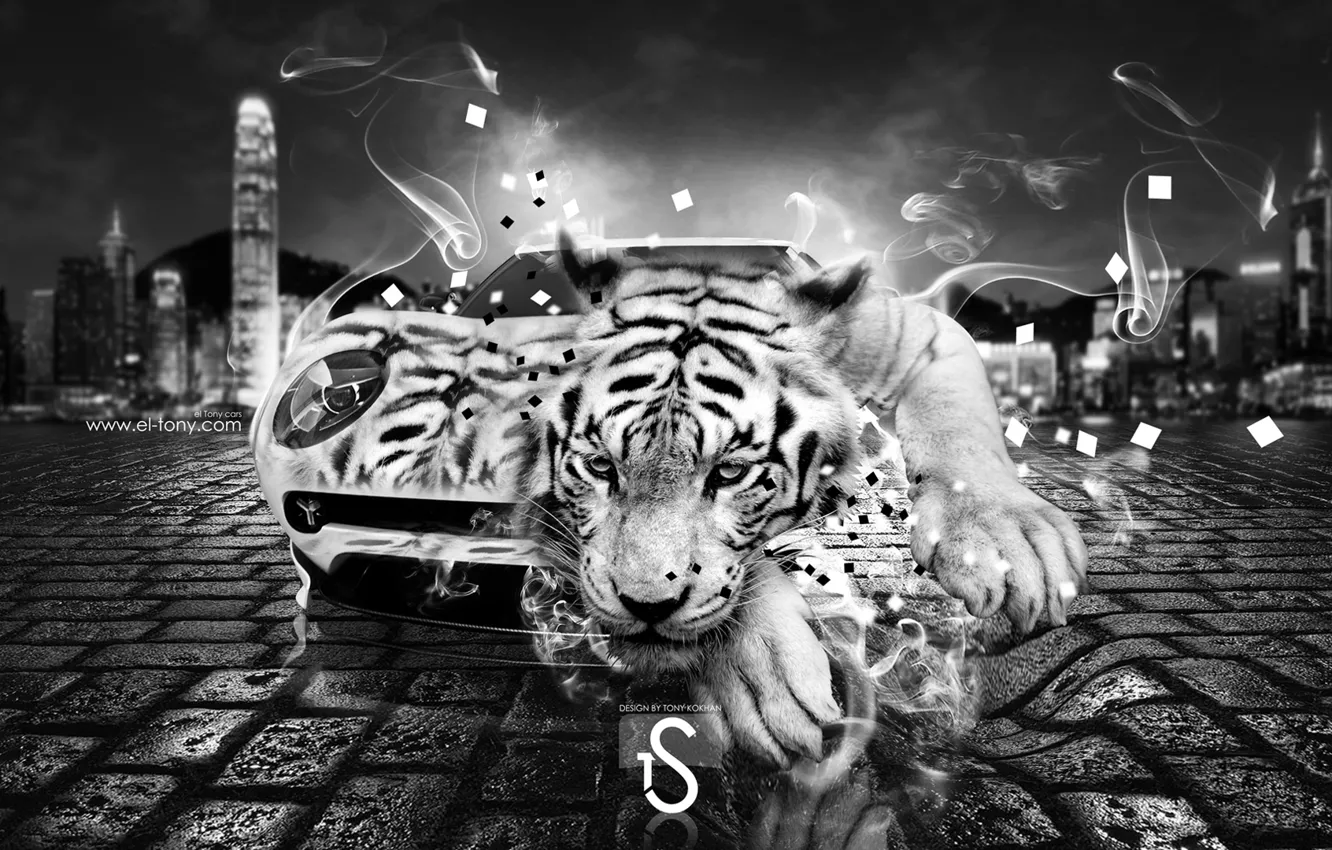 Фото обои авто, ночь, тигр