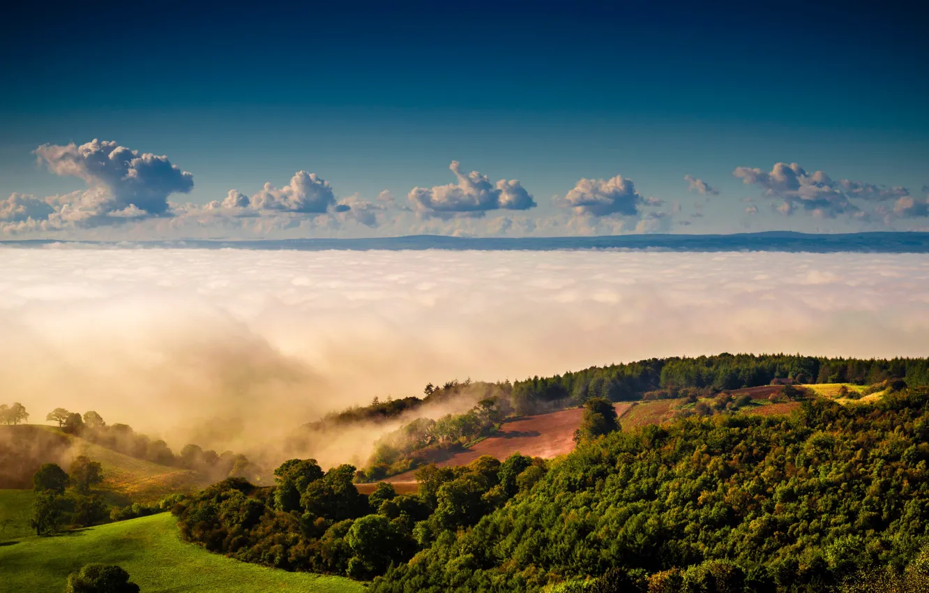 Фото обои зелень, небо, солнце, облака, деревья, туман, холмы, поля