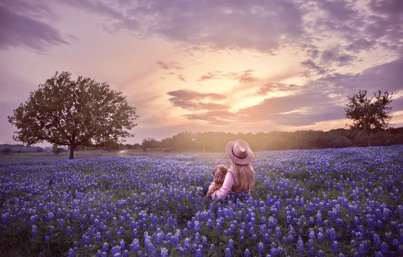 Фото обои поле, небо, деревья, закат, цветы, собака, шляпа, девочка
