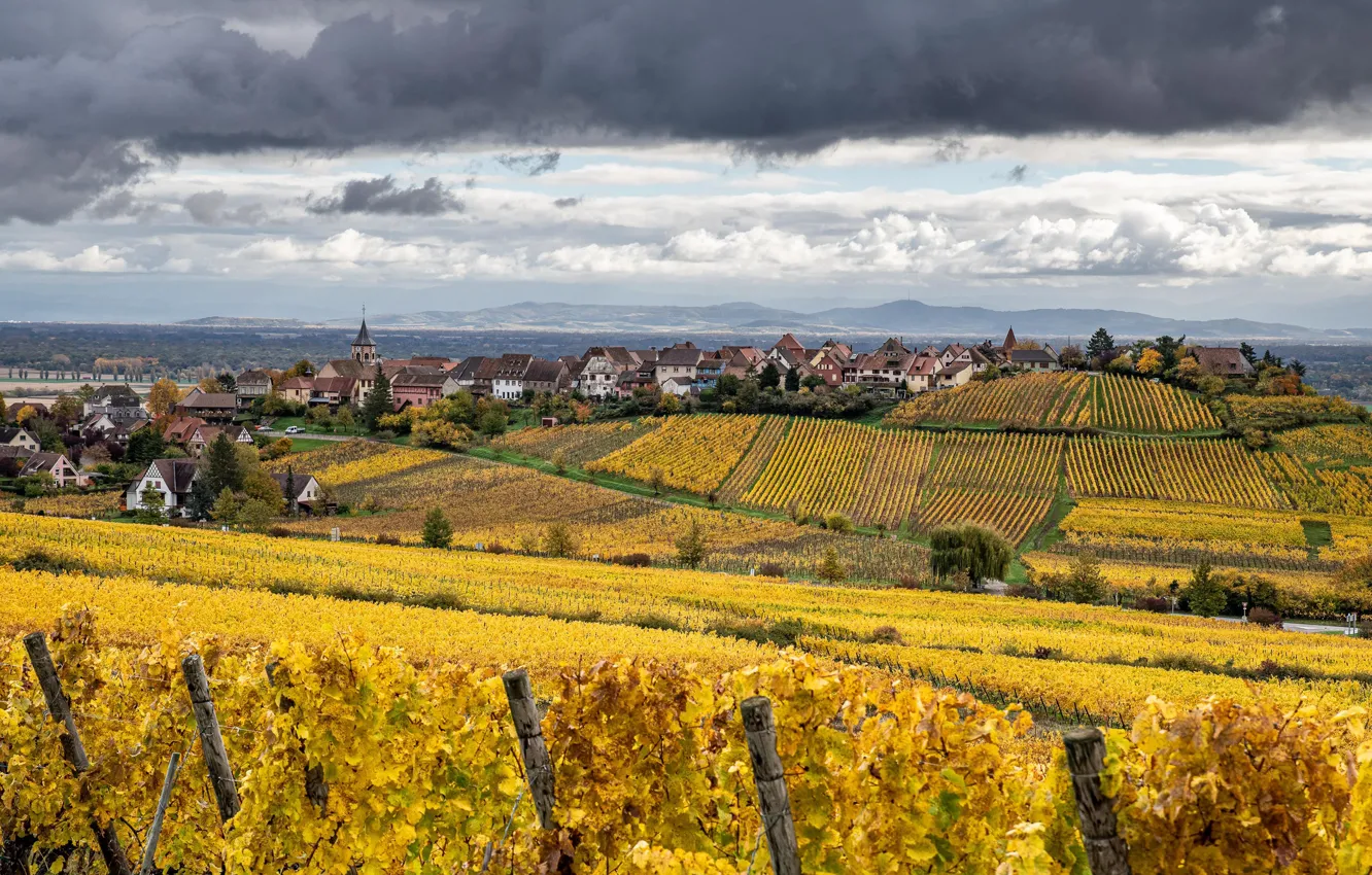 Фото обои осень, облака, деревья, тучи, Франция, поля, дома, плантации