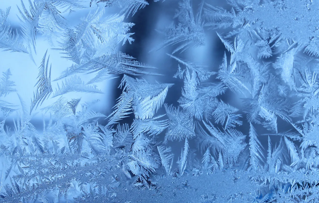 Фото обои зима, иней, окно, frozen, Frosty, window