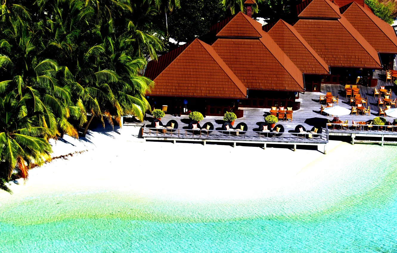 Фото обои пляж, пальмы, океан, курорт, белый песок, Seychelles