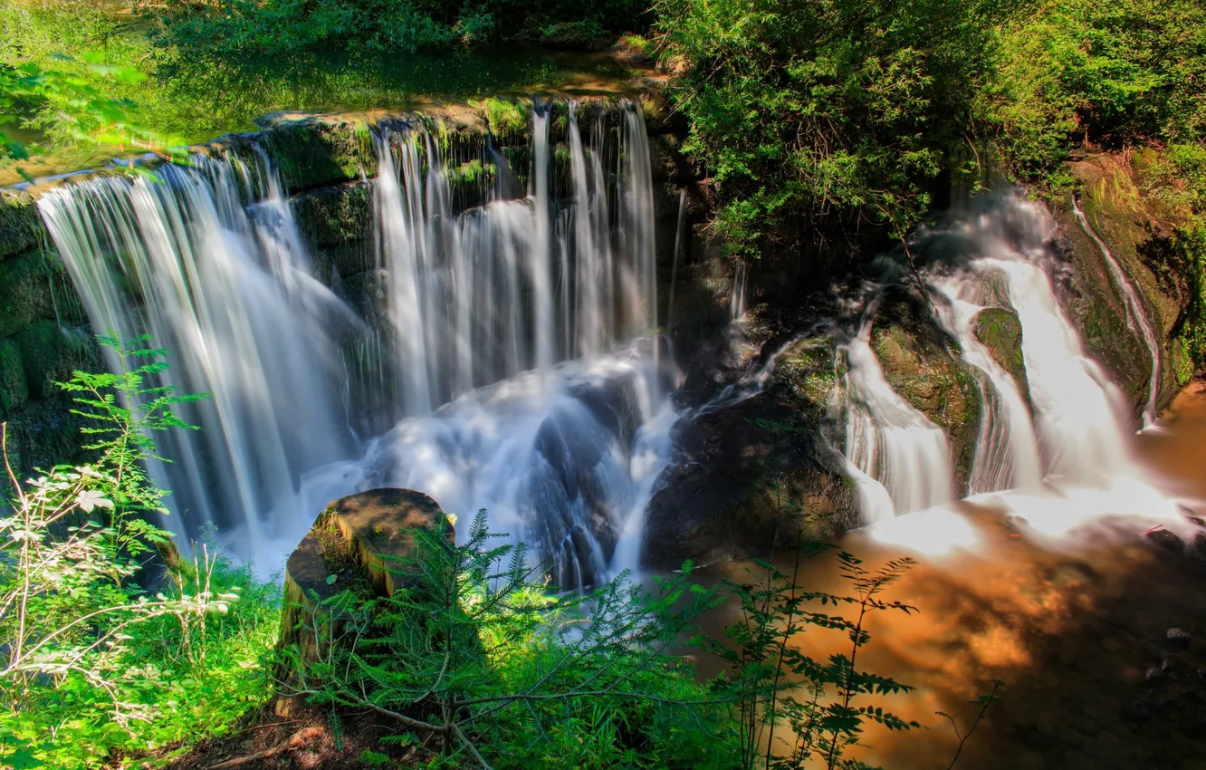 Фото обои зелень, природа, водопад