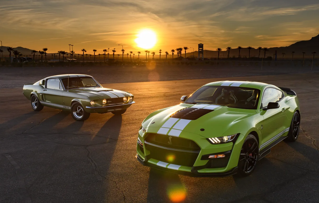 Фото обои green, mustang, ford, gt500 shelby