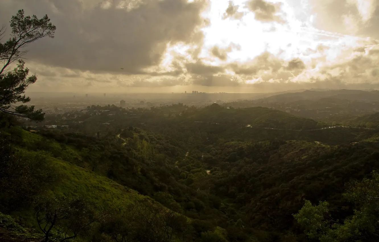 Фото обои зелень, облака, Los Angeles, Griffith Park