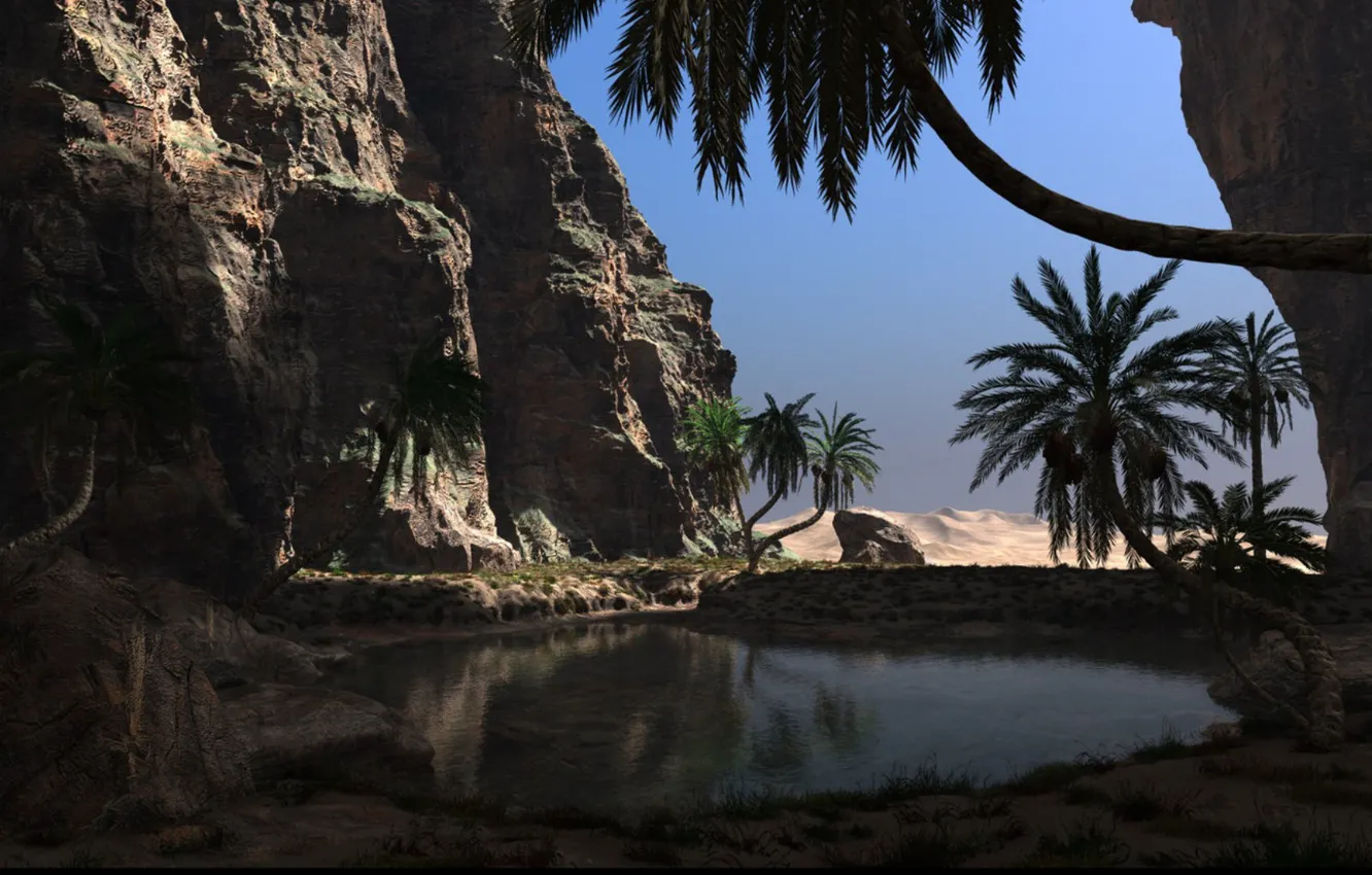 Фото обои небо, вода, камни, пальмы, скалы, the hidden oasis