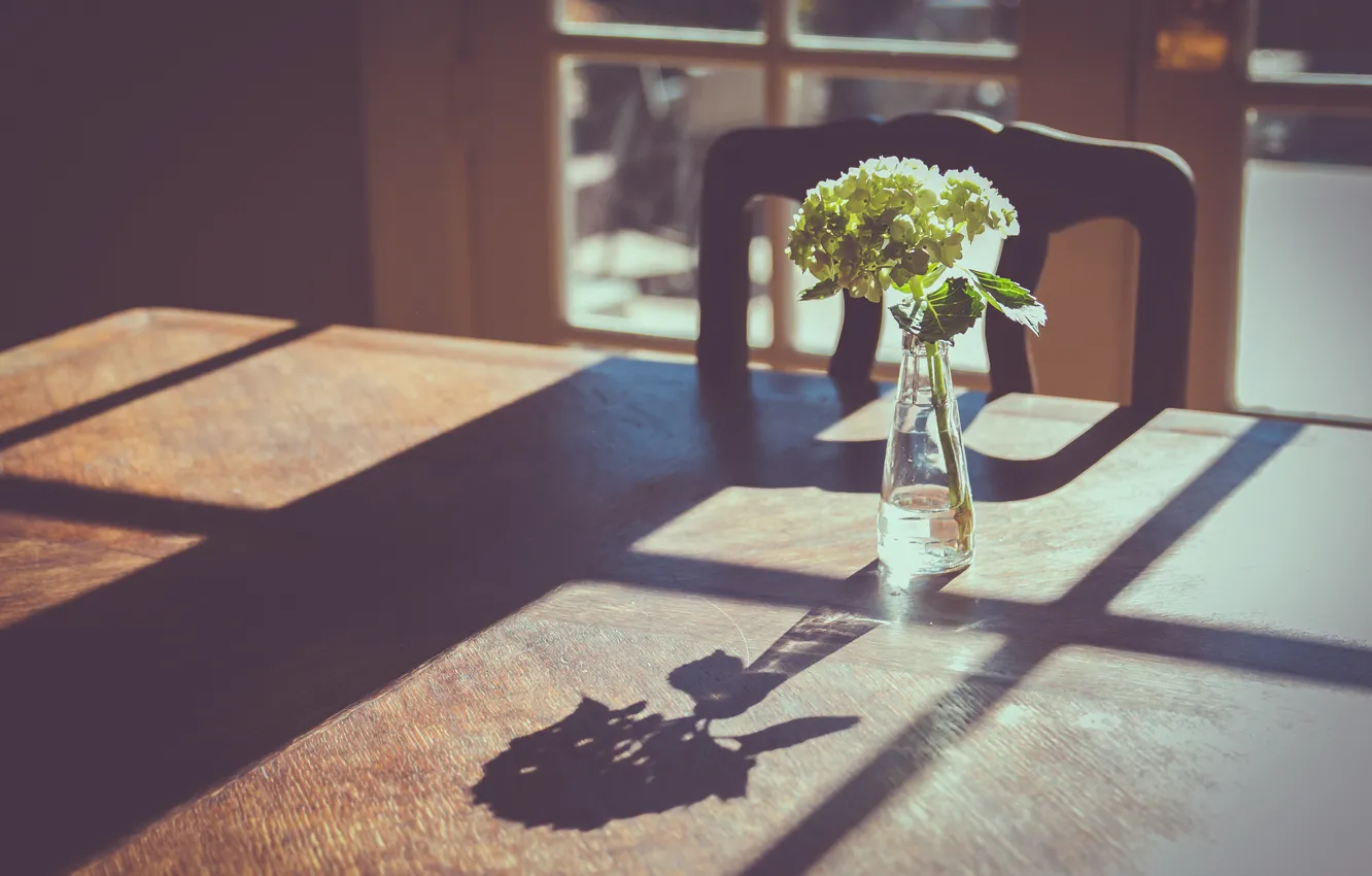 Фото обои цветы, стол, тень, окно, ваза