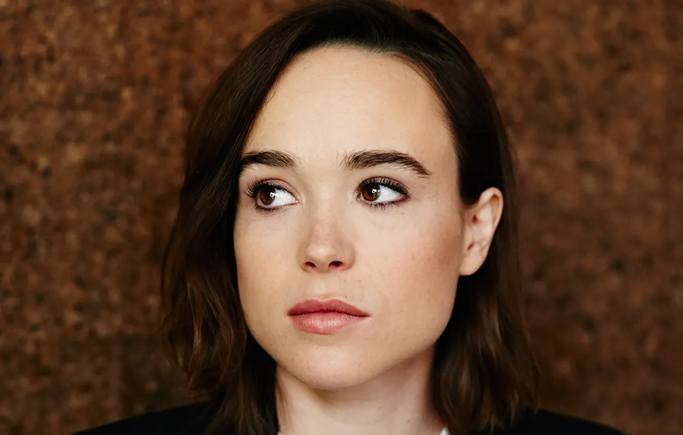 Фото обои девушка, лицо, красота, актриса, Ellen Page