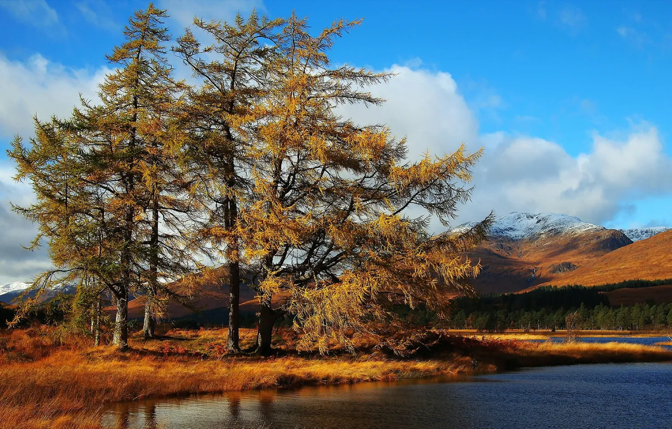 Фото обои осень, деревья, пейзаж, озеро