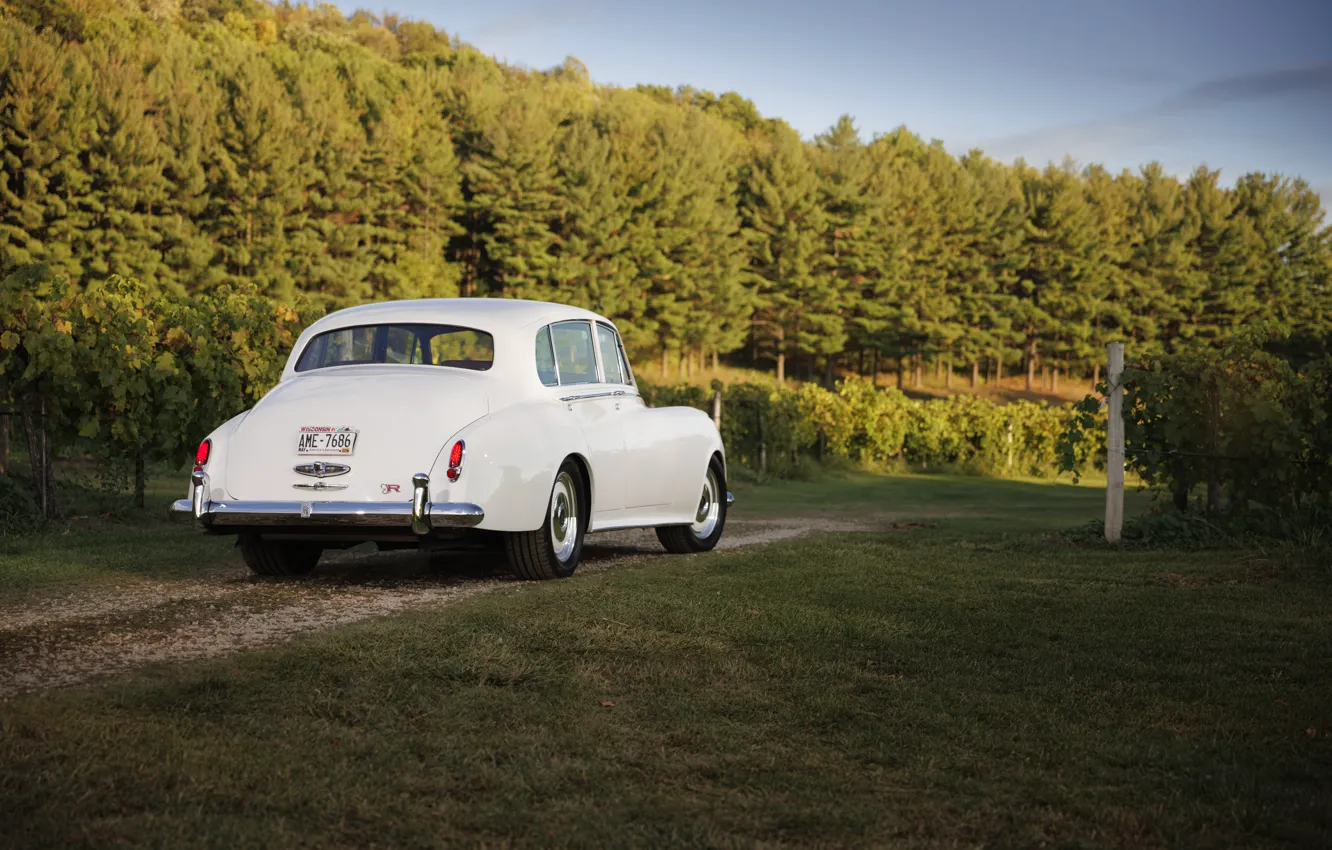 Фото обои Rolls-Royce, 1961, rear view, Ringbrothers, Silver Cloud, Rolls-Royce Silver Cloud II, Rolls-Royce Silver Cloud II …