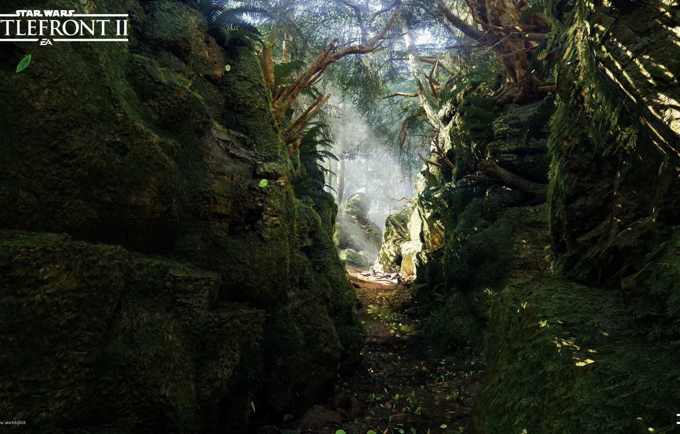 Фото обои природа, растительность, ущелье, Star Wars Battlefront 2, Mazs Castle Forest