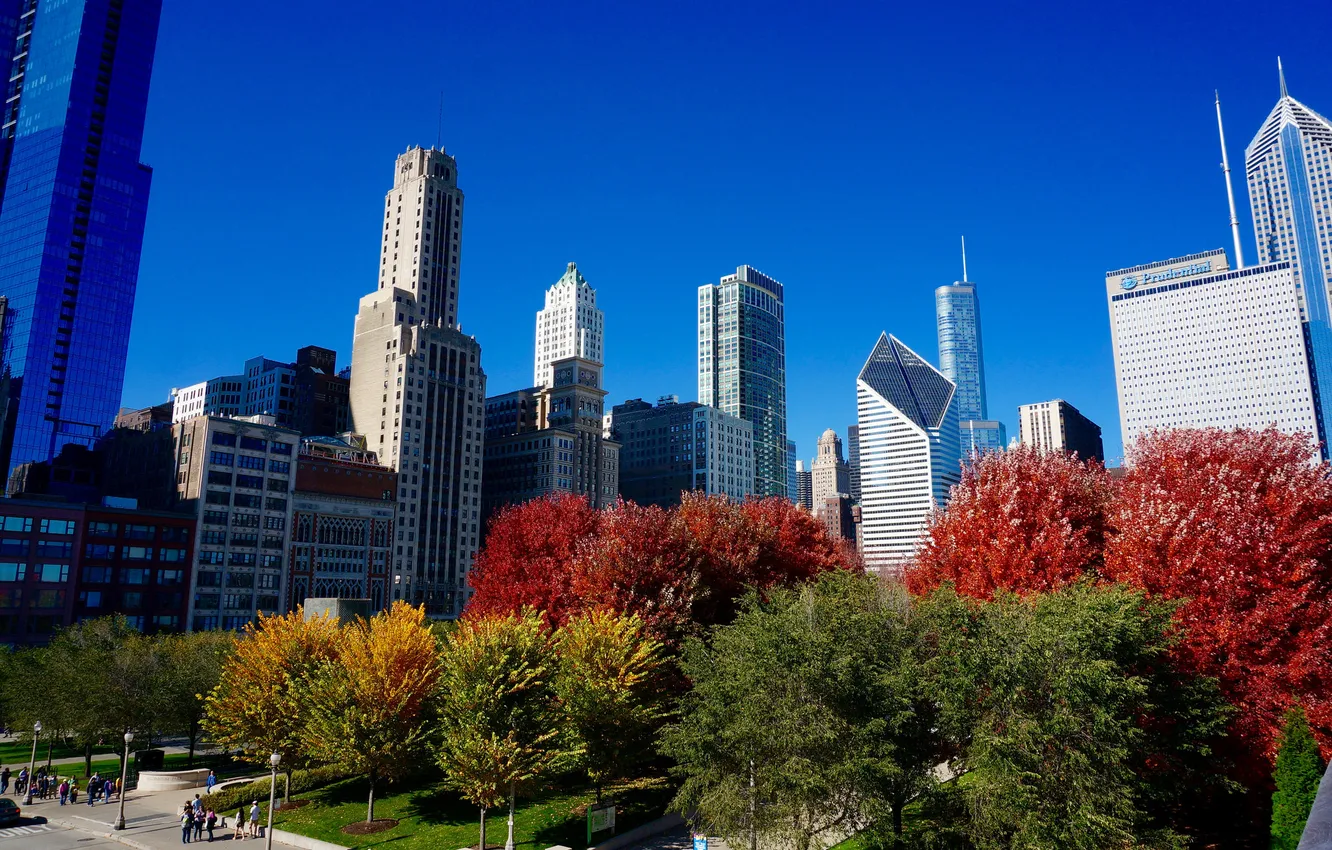 Фото обои осень, небо, деревья, небоскреб, дома, Чикаго, США