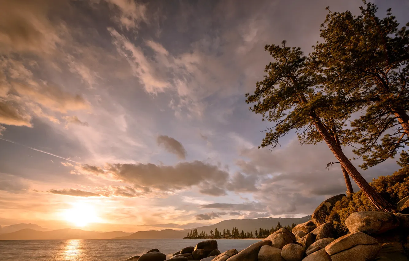 Фото обои пейзаж, закат, озеро, дерево