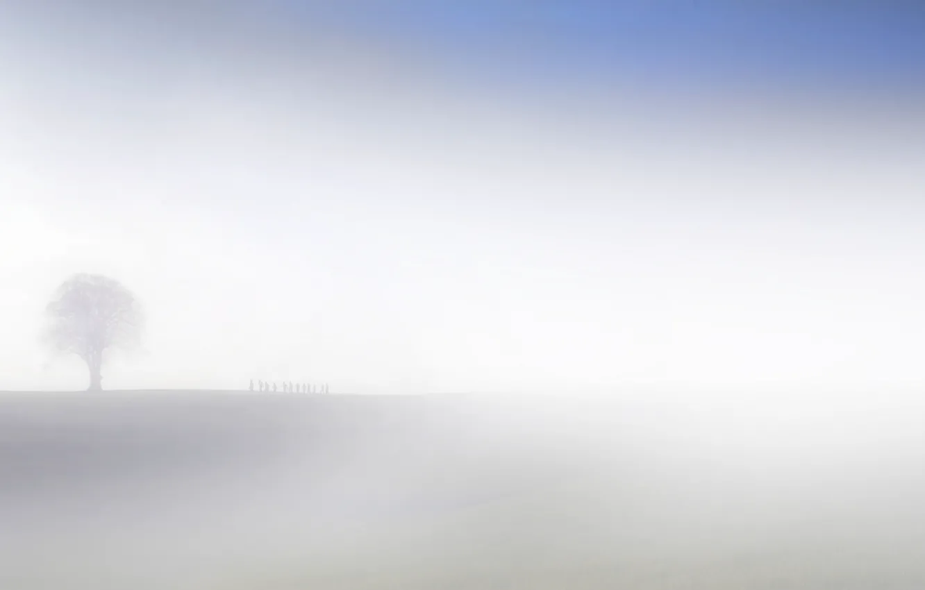 Фото обои поле, туман, силуэты