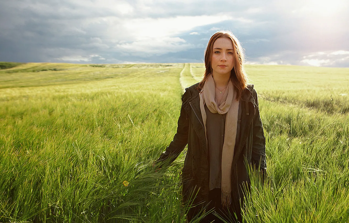 Фото обои поле, небо, трава, девушка, актриса, блондинка, ирландия, Saoirse Ronan