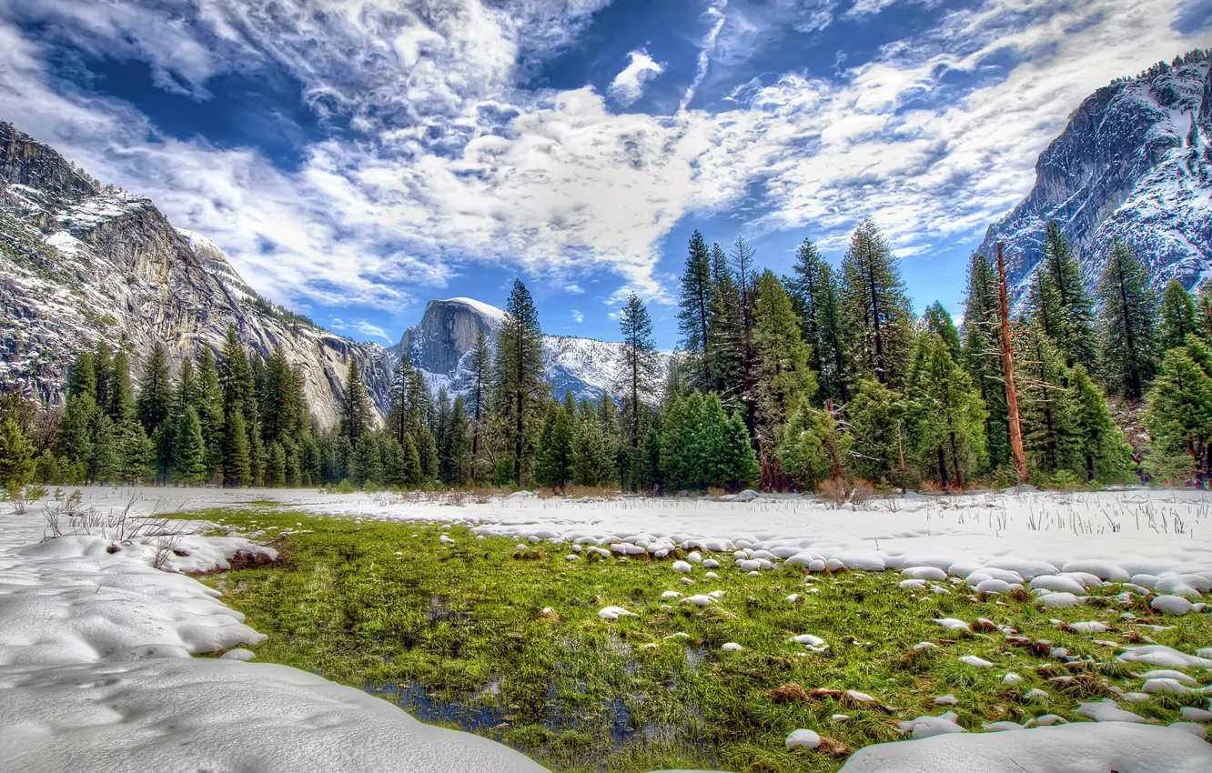 Фото обои зима, лес, небо, облака, снег, деревья, горы, Калифорния