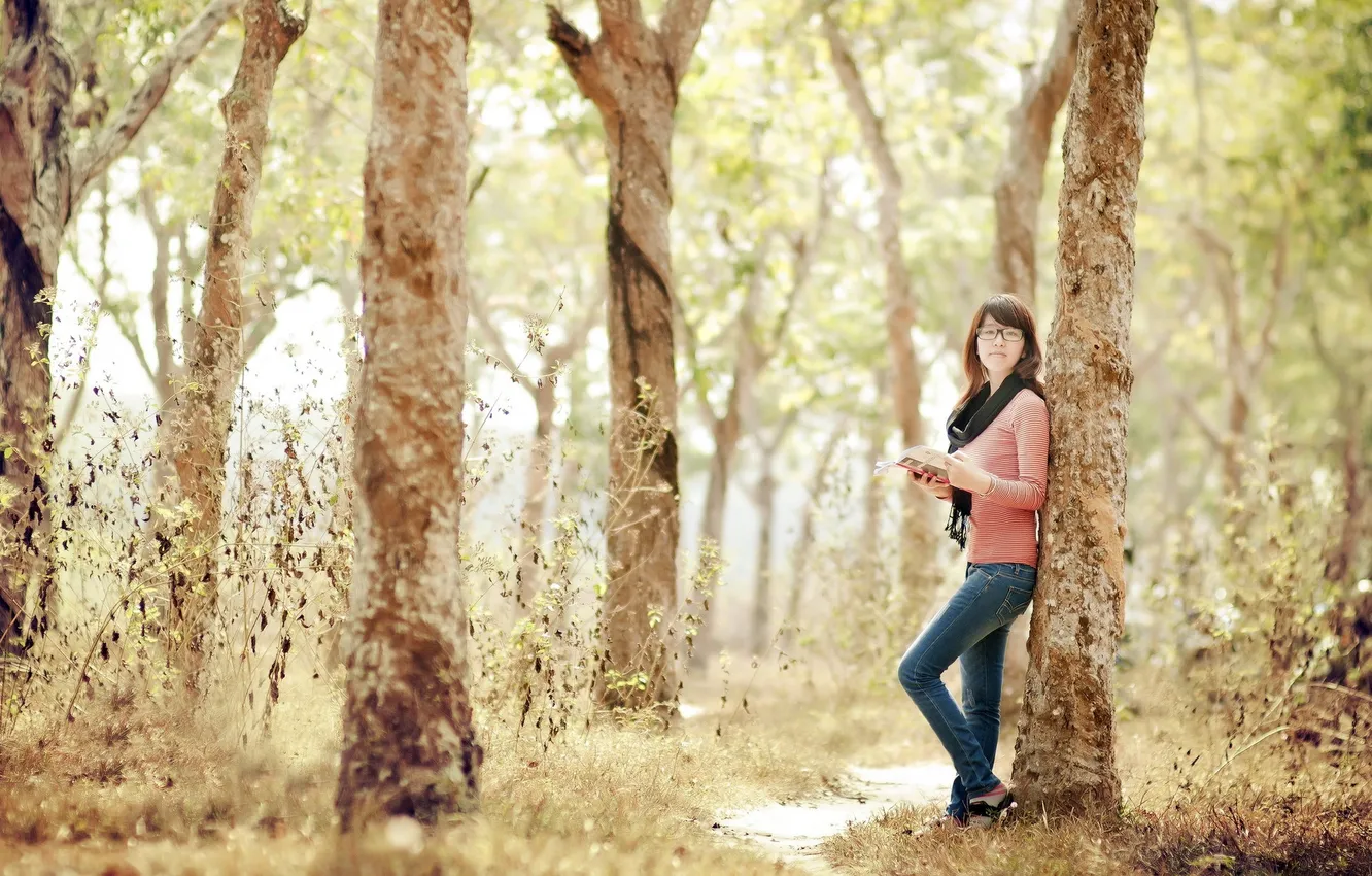 Фото обои лес, девушка, книга