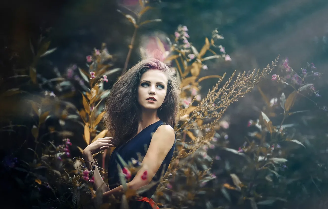 Фото обои взгляд, украшения, цветы, природа, портрет