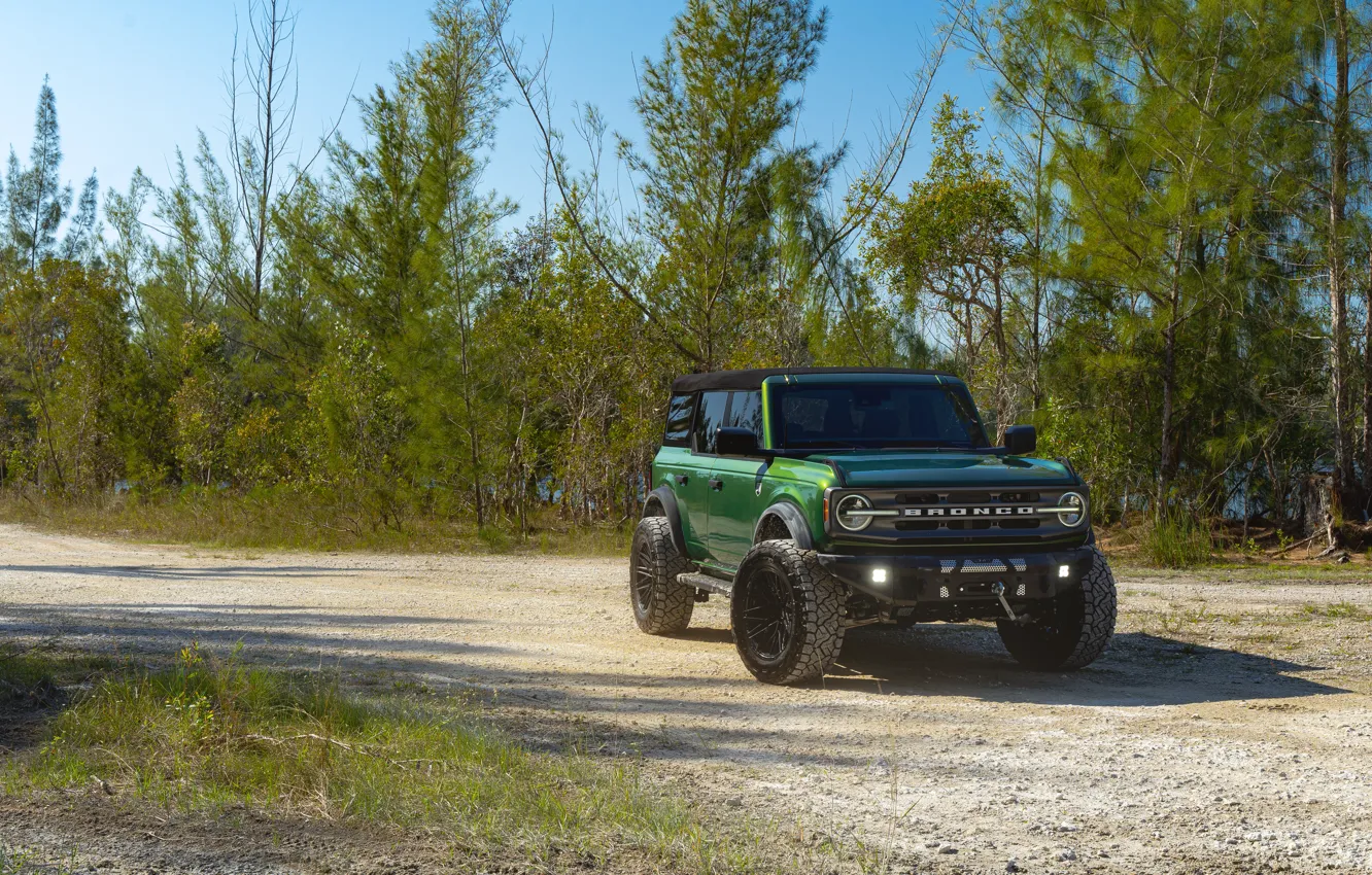 Фото обои Green, Trees, Bronco