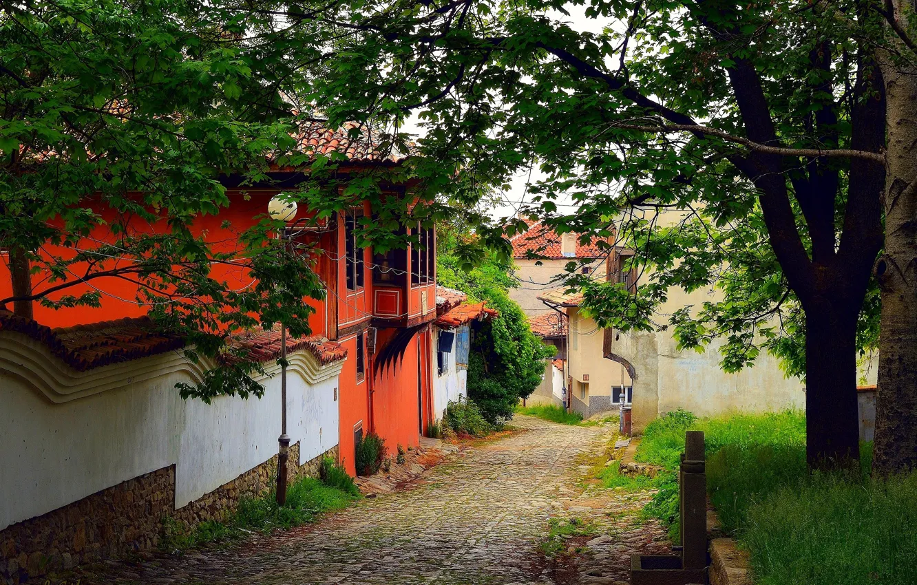 Фото обои Природа, Дерево, Nature, Tree, Village, Old house, Старый дом