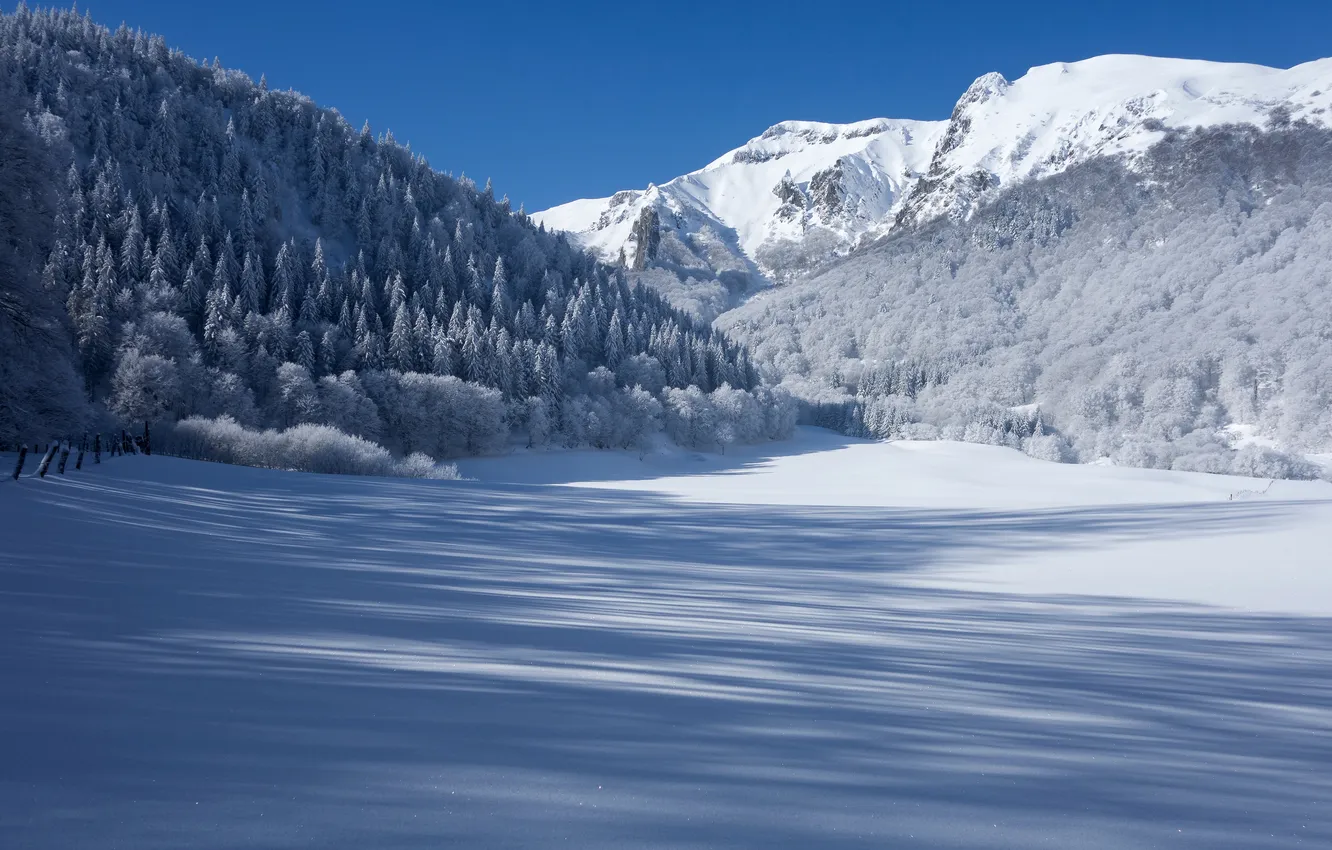 Фото обои зима, лес, снег, горы, Франция, тени, France, Овернь