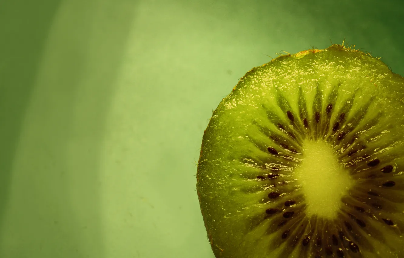 Фото обои макро, еда, киви, фрукт, зеленый фон, macro, kiwi