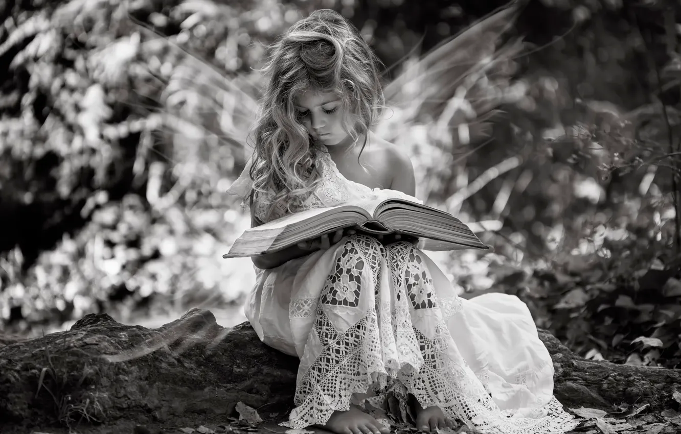 Фото обои крылья, девочка, книга, fairy tales
