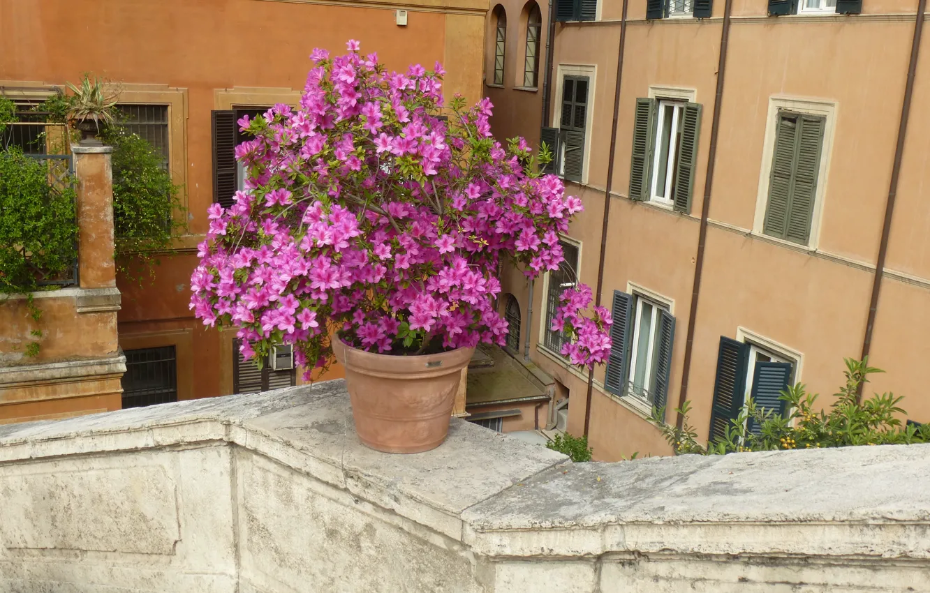 Фото обои Рим, Италия, Italy, Rome, Испанская лестница
