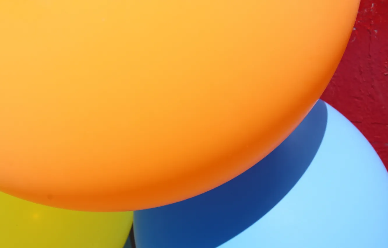 Фото обои цвет, текстура, форма