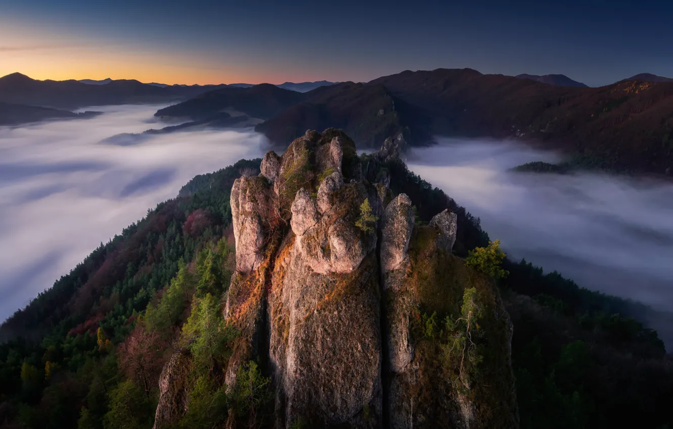 Фото обои облака, пейзаж, закат, горы, природа, скалы, вечер, леса