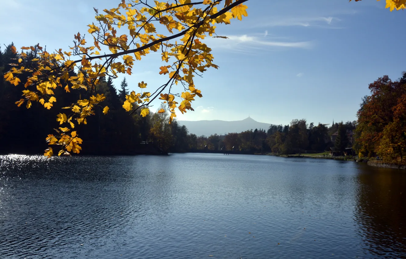 Фото обои листья, природа, река, ветка, Осень, river, nature, жёлтые