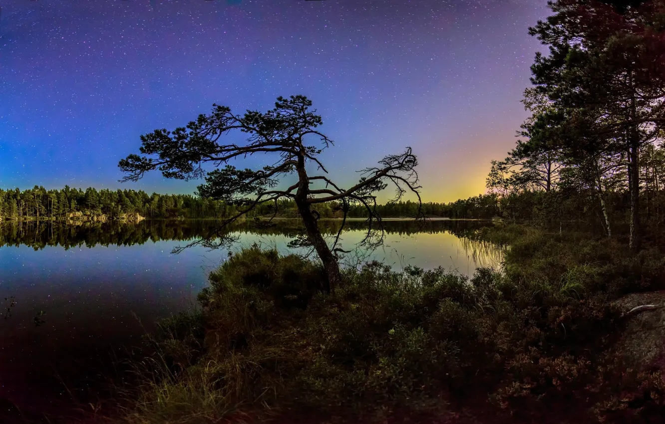 Фото обои пейзаж, ночь, природа, озеро, дерево, красота